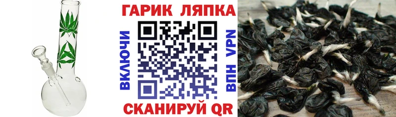ГАШ индика сатива  даркнет телеграм  Пионерский  сколько стоит  гидра ссылки 