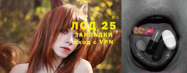 спиды Верея
