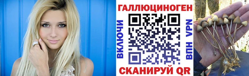 darknet официальный сайт  Пионерский  ссылка на мегу ссылка  Псилоцибиновые грибы ЛСД  даркнет сайт 