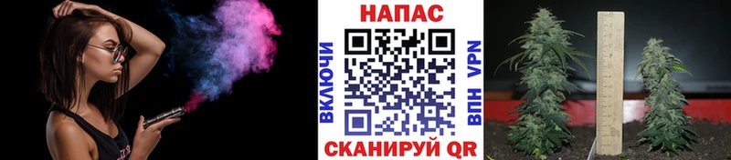 где найти наркотики  Пионерский  Канабис гибрид 